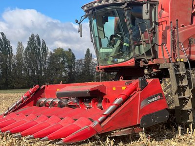 На Вінниччині завершують збір кукурудзи На Вінниччині завершують збір кукурудзи