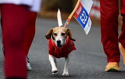 Забіг Санта Клаусів у Берліні