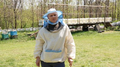 "Їм немає що взяти в природі": як на Кіровоградщині холодна весна вплинула на бджіл і медозбір "Їм немає що взяти в природі": як на Кіровоградщині холодна весна вплинула на бджіл і медозбір