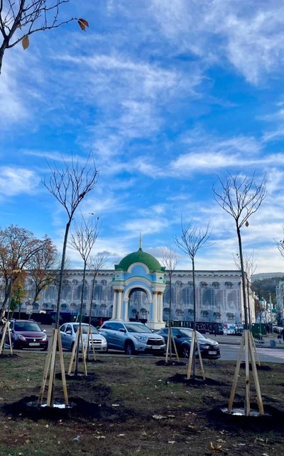 На Контрактовій площі в Києві висадили сакури На Контрактовій площі в Києві висадили сакури
