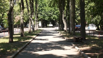 35 мільйонів гривень на Алею Слави в Кропивницькому: якою її планують зробити і коли 35 мільйонів гривень на Алею Слави в Кропивницькому: якою її планують зробити і коли