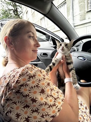 "Любов до тварин": в Одесі відкрили кафе з врятованими котами "Любов до тварин": в Одесі відкрили кафе з врятованими котами