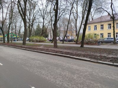 Чи достатньо у Полтаві дерев та що робити з омелою: дослідження озеленення Чи достатньо у Полтаві дерев та що робити з омелою: дослідження озеленення