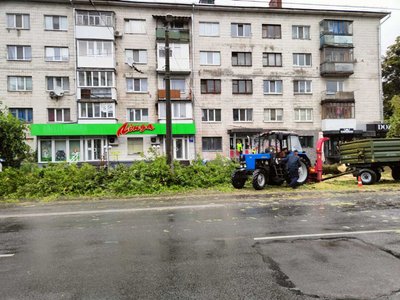 В центрі Житомира через негоду вирвало з корінням дерево, якому було понад пів сотні років В центрі Житомира через негоду вирвало з корінням дерево, якому було понад пів сотні років
