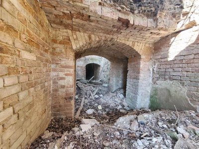 Від графської резиденції до руїн: що сталося з палацом Тишкевичів на Вінниччині Від графської резиденції до руїн: що сталося з палацом Тишкевичів на Вінниччині