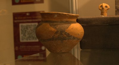 Що вживали трипільці: дослідник з Німеччини вивчає речовини та зілля давніх часів на Черкащині Що вживали трипільці: дослідник з Німеччини вивчає речовини та зілля давніх часів на Черкащині