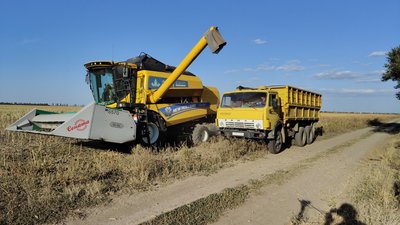 Жнива соняшника на Миколаївщині: як погода вплинула на врожайність Жнива соняшника на Миколаївщині: як погода вплинула на врожайність