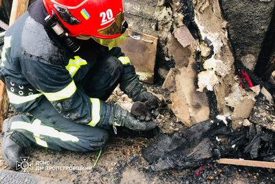 Під час пожежі у Криворізькому районі надзвичайники врятували цуценя Під час пожежі у Криворізькому районі надзвичайники врятували цуценя