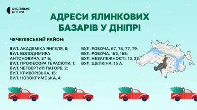 У Дніпрі визначили місця продажу ялинок