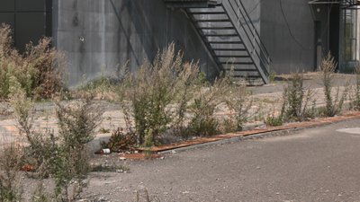 «Водна арена Тернопіль», руйнується і заростає бур'янами, Тернопіль, спорткомплекс, 21 серпня 2026 року «Водна арена Тернопіль», руйнується і заростає бур'янами, Тернопіль, спорткомплекс, 21 серпня 2026 року