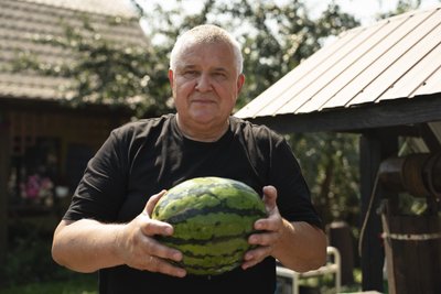 «Вага найбільшого кавуна- 16,5 кілограма»: як у Беседівці вирощують баштанні попри виклики війни «Вага найбільшого кавуна- 16,5 кілограма»: як у Беседівці вирощують баштанні попри виклики війни