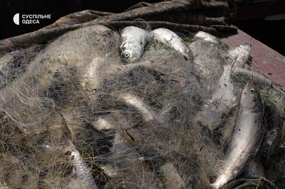 "Чоловіки воюють, на воду виходять жінки": як змінилася рибалка у Вилковому під час війни
