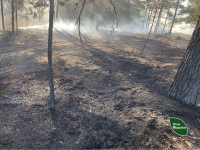 Через падіння дрона загорівся ліс на Рівненщині Через падіння дрона загорівся ліс на Рівненщині