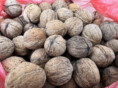 "В цьому році горіхів мало": за скільки купують і продають волоські у Сумах "В цьому році горіхів мало": за скільки купують і продають волоські у Сумах