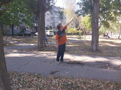 Жителі Сум скаржаться на відсутність догляду за зеленими насадженнями Жителі Сум скаржаться на відсутність догляду за зеленими насадженнями