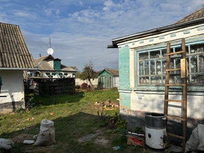 "Тут тихо, а в столиці скрізь люди": історія дівчини, яка переїхала з Києва до села на Черкащині