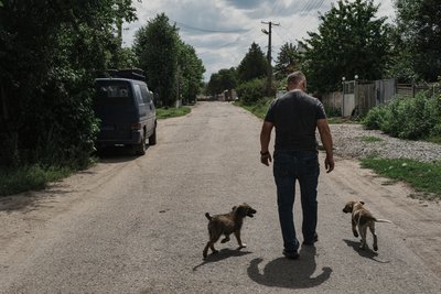 Чоловік йде з цуценятами дорогою Чоловік йде з цуценятами дорогою