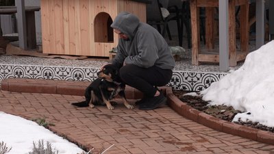 Евакуювали спочатку з-під обстрілів, а потім з затопленого притулку: як собака Оскар знайшов родину і новий дім Евакуювали спочатку з-під обстрілів, а потім з затопленого притулку: як собака Оскар знайшов родину і новий дім