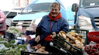 Сезон лісових грибів на Вінниччині: які продають та скільки коштують Сезон лісових грибів на Вінниччині: які продають та скільки коштують