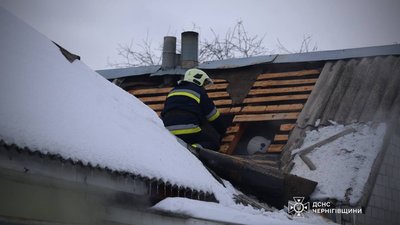 В одній із пожеж рятувальники врятували кота: на Чернігівщині горіли сім жилих будинків В одній із пожеж рятувальники врятували кота: на Чернігівщині горіли сім жилих будинків