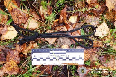 Самогубство та смертельна ДТП: поліція розслідує обставини двох подій на Рівненщині Самогубство та смертельна ДТП: поліція розслідує обставини двох подій на Рівненщині