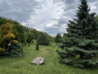 Ботанічний сад у Полтаві: який має вигляд та як відвідати Ботанічний сад у Полтаві: який має вигляд та як відвідати