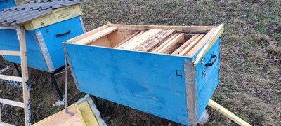 Тепла зима порушила сплячку ведмедів: на Буковині місцеві жителі фіксують появи ведмедя біля осель Тепла зима порушила сплячку ведмедів: на Буковині місцеві жителі фіксують появи ведмедя біля осель
