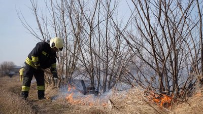 На Черкащині протягом доби виникло 17 пожеж сухостою На Черкащині протягом доби виникло 17 пожеж сухостою