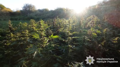 На Вінниччині викрили наркоугруповання з прибутком у пів мільйона гривень щомісяця На Вінниччині викрили наркоугруповання з прибутком у пів мільйона гривень щомісяця