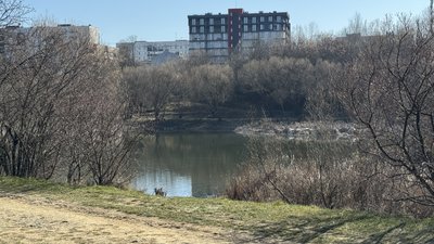 "Щоб було гарно, щоб було прибрано": толоки на двох локаціях провели в Ужгороді "Щоб було гарно, щоб було прибрано": толоки на двох локаціях провели в Ужгороді