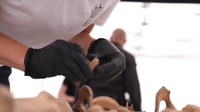 антропологиня антропологиня