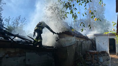 У Чернігові горіла господарча будівля, де утримували собак У Чернігові горіла господарча будівля, де утримували собак