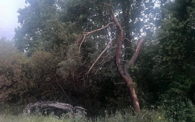 Водій згорів у автівці: поліція розслідує ДТП на Черкащині Водій згорів у автівці: поліція розслідує ДТП на Черкащині