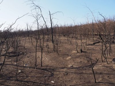 Два роки після водної катастрофи: як живе Херсонщина без Каховської ГЕС Два роки після водної катастрофи: як живе Херсонщина без Каховської ГЕС