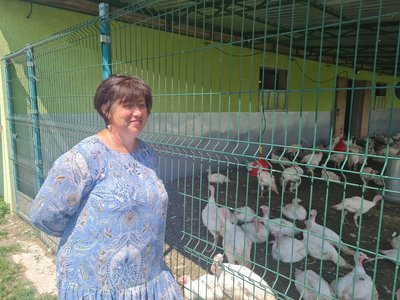 Фермерське господарство: на Житомирщині родина вирощує 1000 індиків без найманих працівників Фермерське господарство: на Житомирщині родина вирощує 1000 індиків без найманих працівників