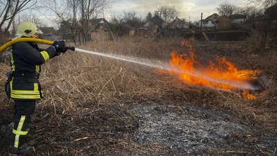 Пожежа сухостою на Черкащині Пожежа сухостою на Черкащині