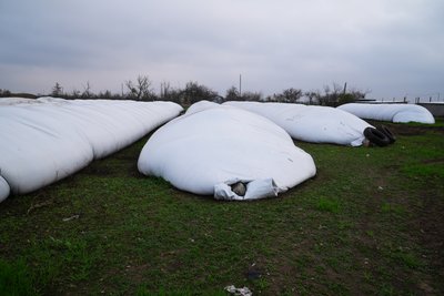 Який врожай зібрали цьогоріч на Херсонщині Який врожай зібрали цьогоріч на Херсонщині