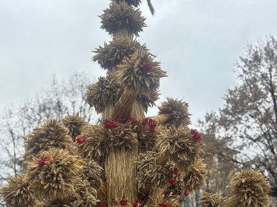 У Вінниці встановили чотириметровий дідух У Вінниці встановили чотириметровий дідух