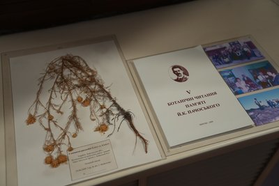 Херсон, Херсонський природничий музей, Йосип Пачоський, Центурія Пачоського Херсон, Херсонський природничий музей, Йосип Пачоський, Центурія Пачоського