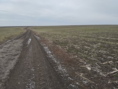 2024-го року Полтавщина стала лідером з продажу земель: чому та хто купує 2024-го року Полтавщина стала лідером з продажу земель: чому та хто купує