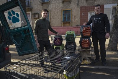 "Люди виїжджають, тому годувати нікому". Як волонтери з Дніпра евакуюють тварин за 10 км від фронту "Люди виїжджають, тому годувати нікому". Як волонтери з Дніпра евакуюють тварин за 10 км від фронту