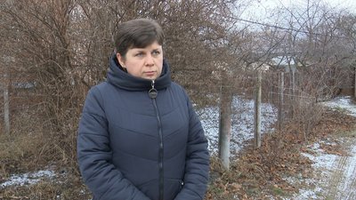 "Пшениця перебуває в стресі": як погода на Полтавщині впливає на озимі культури "Пшениця перебуває в стресі": як погода на Полтавщині впливає на озимі культури
