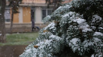 Нічні заморозки та сніг на початку квітня на Херсонщині. Як негода вплине на врожай Нічні заморозки та сніг на початку квітня на Херсонщині. Як негода вплине на врожай