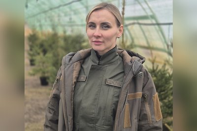 Ялинки в горщиках: до свят у розсаднику біля Житомира заготували до пів тисячі дерев