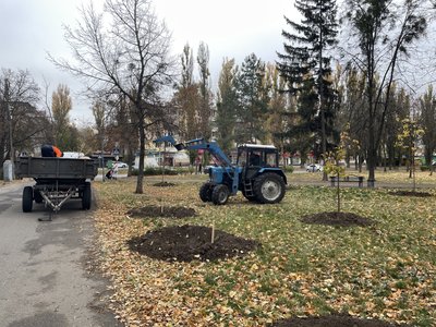 Більше 250 дерев та 300 кущів висадять цієї осені в Полтаві