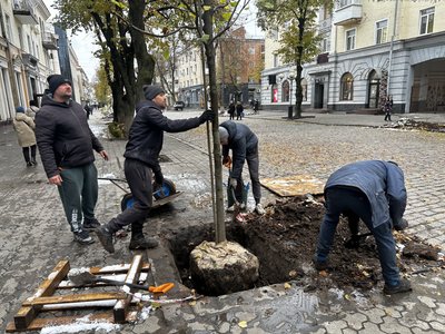Як посадити іменне дерево у Полтаві: подробиці акції "Подаруй місту дерево" Як посадити іменне дерево у Полтаві: подробиці акції "Подаруй місту дерево"
