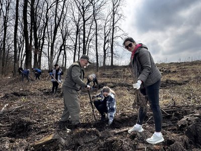 люди садять дерева, ліс люди садять дерева, ліс