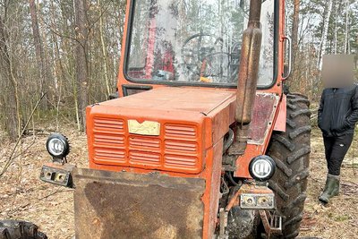 Незаконна вирубка і продаж дерев: на Житомирщині судитимуть членів організованої групи Незаконна вирубка і продаж дерев: на Житомирщині судитимуть членів організованої групи