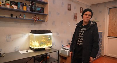 “Вона в нас самостійна пташка”: як папугу Ніку врятували після вибуху ракети у Сумах “Вона в нас самостійна пташка”: як папугу Ніку врятували після вибуху ракети у Сумах