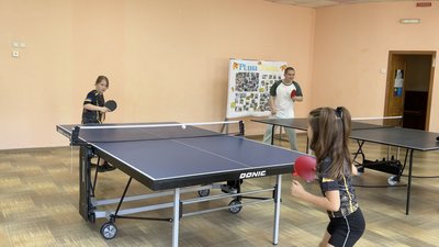 Гра в настільний теніс Гра в настільний теніс